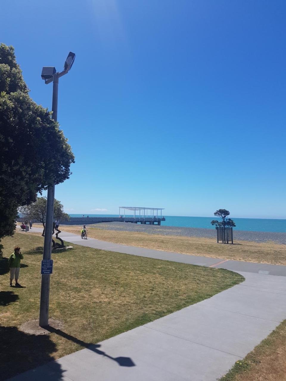 Archies Bunker Affordable Accommodation Napier Dış mekan fotoğraf